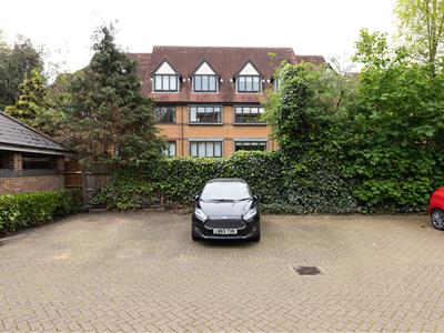 Picture 28
